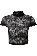 Load image into Gallery viewer, FALSE