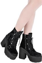 Load image into Gallery viewer, FALSE